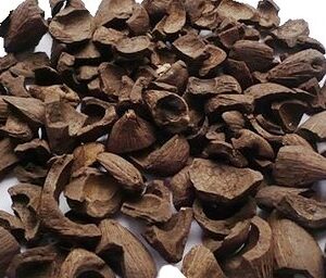 Palm Kernel
