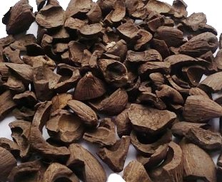 Palm Kernel