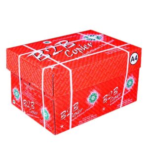 B2B Copier Paper